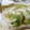 スタイリッシュママ's cooksnap of when they made アボカドと玉ねぎの粉チーズマヨトースト.