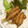 titapa's cooksnap of when they made ご飯もすすむ！いわしの唐揚げ.