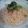 pmama113's cooksnap of when they made 簡単！ 我が家の たらこスパゲティ.