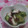 みゆwaco 's cooksnap of when they made たこときゅうりの酢の物.