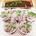 xoxoyumi07's cooksnap of when they made クラッシュゼリーで☆レモンティーゼリー.