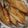 ほのけんmama's cooksnap of when they made ガーリックチキンの照り焼き【作りおき】.
