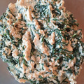 アンコラブ's cooksnap of when they made ゆずのきいたおしゃれな白和え.