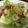 ken ohu's cooksnap of when they made あのお店の⁈冷やしうどん☆サラダうどん.