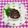 にきけん's cooksnap of when they made エゴマ(大葉)味噌de 焼おにぎり.