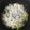 sono85's cooksnap of when they made にらのチヂミ　簡単時短！.