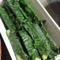 かおりベア♪'s cooksnap of when they made しそ巻きキュウリの漬物.