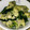クックJ5TW0U☆'s cooksnap of when they made 【 簡単】鶏モモ肉と小松菜のバジル炒め.