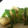 クックLI73MO☆'s cooksnap of when they made 簡単♪さっぱりピーマンの炒め物.