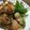 かんちゃん☀︎'s cooksnap of when they made 豚肉と大葉の梅肉巻き.