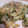rinmmm's cooksnap of when they made ゴーヤのやさしいいため煮.