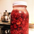 ハリーのしっぽ's cooksnap of when they made 果実酒★ラズベリー酒.