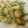クックQP21M6☆'s cooksnap of when they made 簡単シイラ（マヒマヒ）のから揚げ.