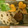 クック79G3F2☆'s cooksnap of when they made 我が家の筑前煮（お食い初めに）.