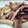 食パンダ's cooksnap of when they made イカと長ネギのバター炒め.