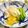 Haru Haru's cooksnap of when they made ゆで豚にツンとした辛子酢味噌をかけて.
