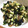 クック8KB7FJ☆'s cooksnap of when they made 【作りおき】さっぱりさわやか♪山形のだし.