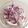 hash五阡円屋絽地's cooksnap of when they made 紫玉ねぎだけ！サラダ.