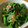 cafe-cafe's cooksnap of when they made ヘルシー！小松菜と桜えびのさっと煮！.