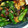 クック57VZDE☆'s cooksnap of when they made 簡単！茄子といんげんの大葉香る甘辛炒め♪.