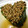 はるかるび's cooksnap of when they made ほうれん草のおひたし.