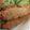 i_yokan's cooksnap of when they made 茗荷と大葉の肉巻きフライ.