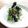 kaokaofood's cooksnap of when they made ほうれん草としらすの簡単炒め☆.