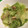 ちーたんかあちゃん's cooksnap of when they made 【ルクエ】蒸しレタスとツナの和風マヨ和え.