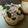 てぃなん's cooksnap of when they made ダイエット★鶏ハムサンド★201㌍.