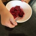 クックBDMNNZ☆'s cooksnap of when they made すもものシャーベット.