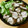 孤食の坐骨's cooksnap of when they made ☆うちの鶏チャーシュー☆炊飯器使用.