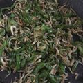 38みつばち's cooksnap of when they made ピーマン消費！しらすと炒めて常備菜♡.