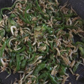38みつばち's cooksnap of when they made ピーマン消費！しらすと炒めて常備菜♡.