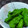 みがつくひと's cooksnap of when they made シンプルが良い。ししとうの油炒め.