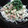 クミガエル's cooksnap of when they made たたき梅ときゅうり納豆和え♪.