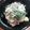 クミガエル's cooksnap of when they made あんかけエビ塩焼きそば.