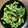 さらつむとし's cooksnap of when they made ゴーヤの塩昆布和え.