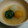 くまモン's cooksnap of when they made 三色蒸しれんこん団子みぞれソース.