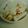 咲希たん's cooksnap of when they made 大根のお漬け物.