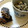 ひつじのくにから's cooksnap of when they made 簡単♡切干大根とのりのお漬物風.