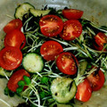 QooQooママ's cooksnap of when they made お洒落に☆簡単ひじきとトマトのサラダ.