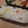 おちゃむ夫人's cooksnap of when they made ヘルシー♪大根の炊き込みご飯！.