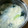 ミッキーメープル's cooksnap of when they made きのことわかめ入り・かきたま汁.