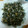 snmarkk's cooksnap of when they made 揚げ大豆の青のりまぶし！.