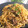 志野のお料理教室's cooksnap of when they made 沖縄風ソーキ焼きそば.
