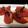 咲いた咲いた♪'s cooksnap of when they made ◎　トマトの塩昆布和え.