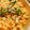 chEk0's cooksnap of when they made 揚げ玉と豆腐のどんぶり。.