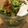 ないりんこ's cooksnap of when they made 簡単★アボカドとトマトのバジルソース和え.