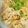 Punie☆'s cooksnap of when they made 簡単!おいしい!豚丼＊.
