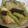 ぱらおしゃん's cooksnap of when they made 茄子とモロッコインゲンの味噌煮.